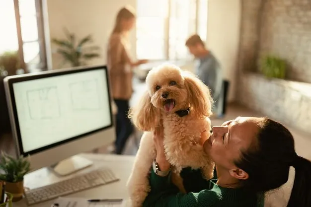 Pet Insurance