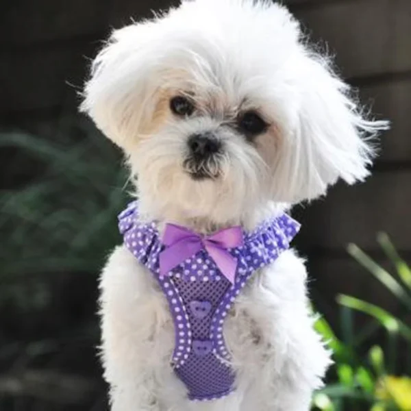 Polka Dot Trim In Pink, Purple And Teal