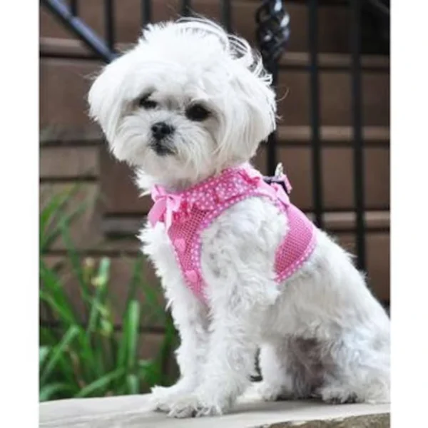 Polka Dot Trim In Pink, Purple And Teal