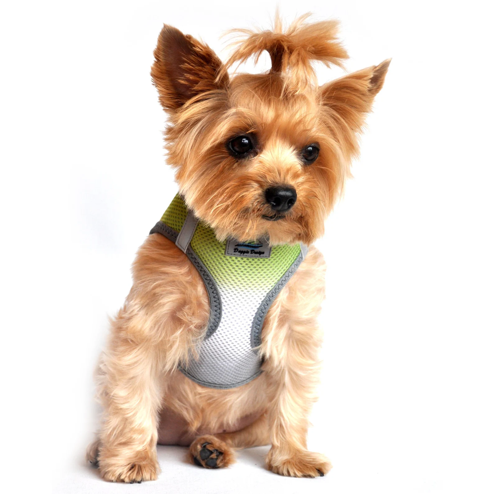 Trachea safe harness hotsell