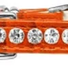 Beverly Style Rhinestone Designer Croc Dog Collar
