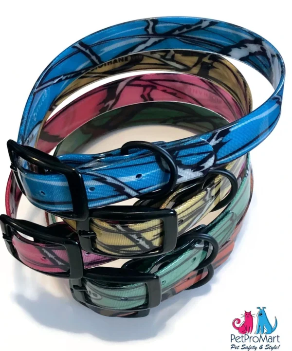 Collar for Dogs- Collection