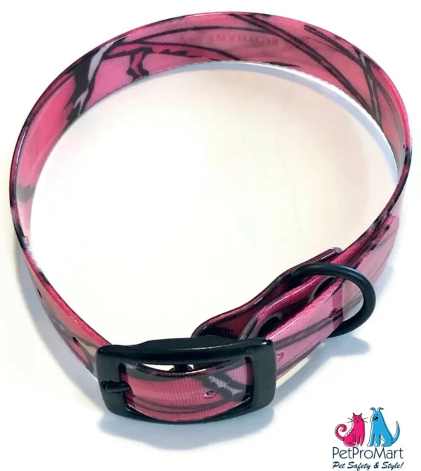 Dog Collar