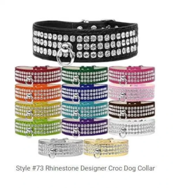 Dog Collar Collection