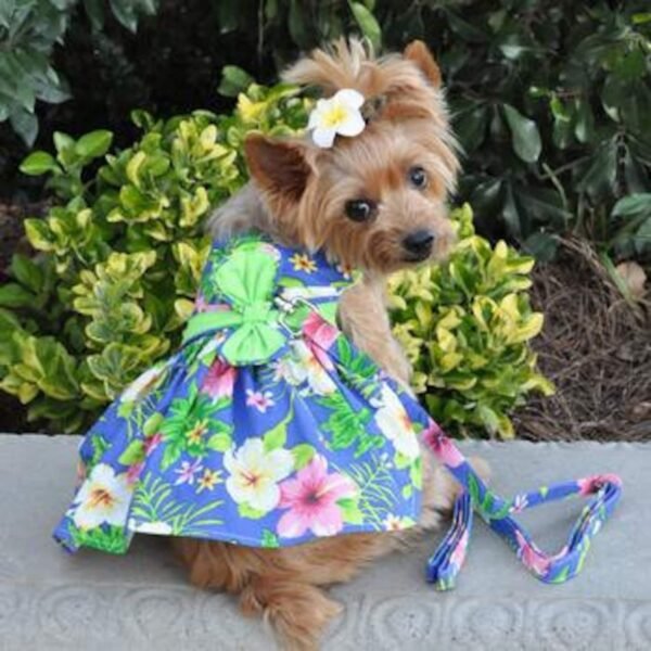 Dog Dress Harness with Matching Leash