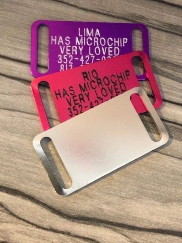Dog Tags