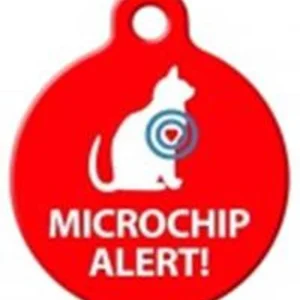 Designer Cat Tags