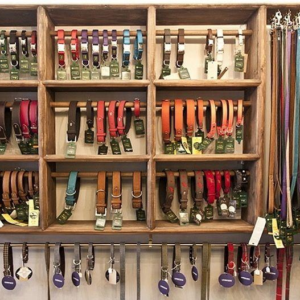 Collars, Leads & Harnesses